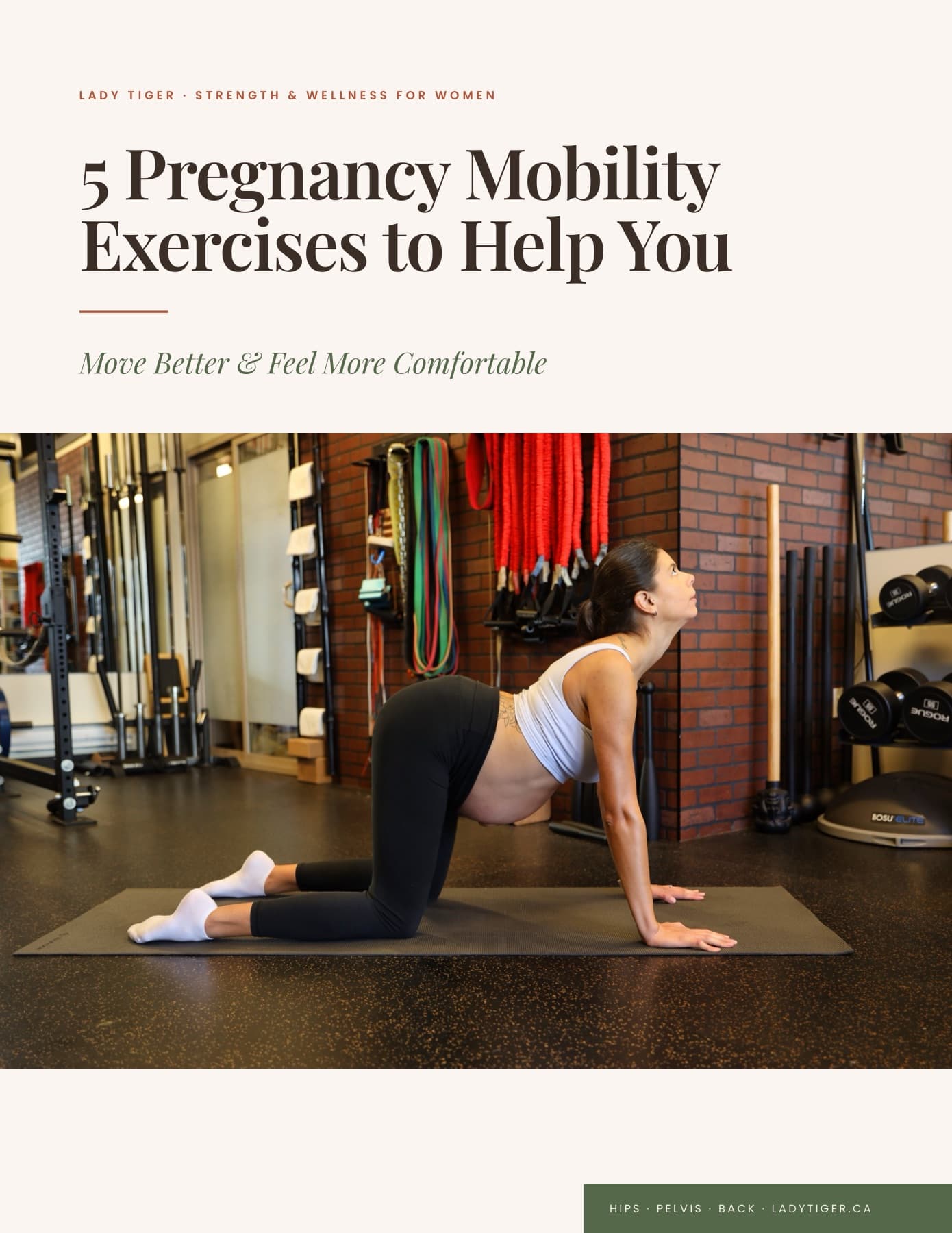 Mobility Resource guide cover